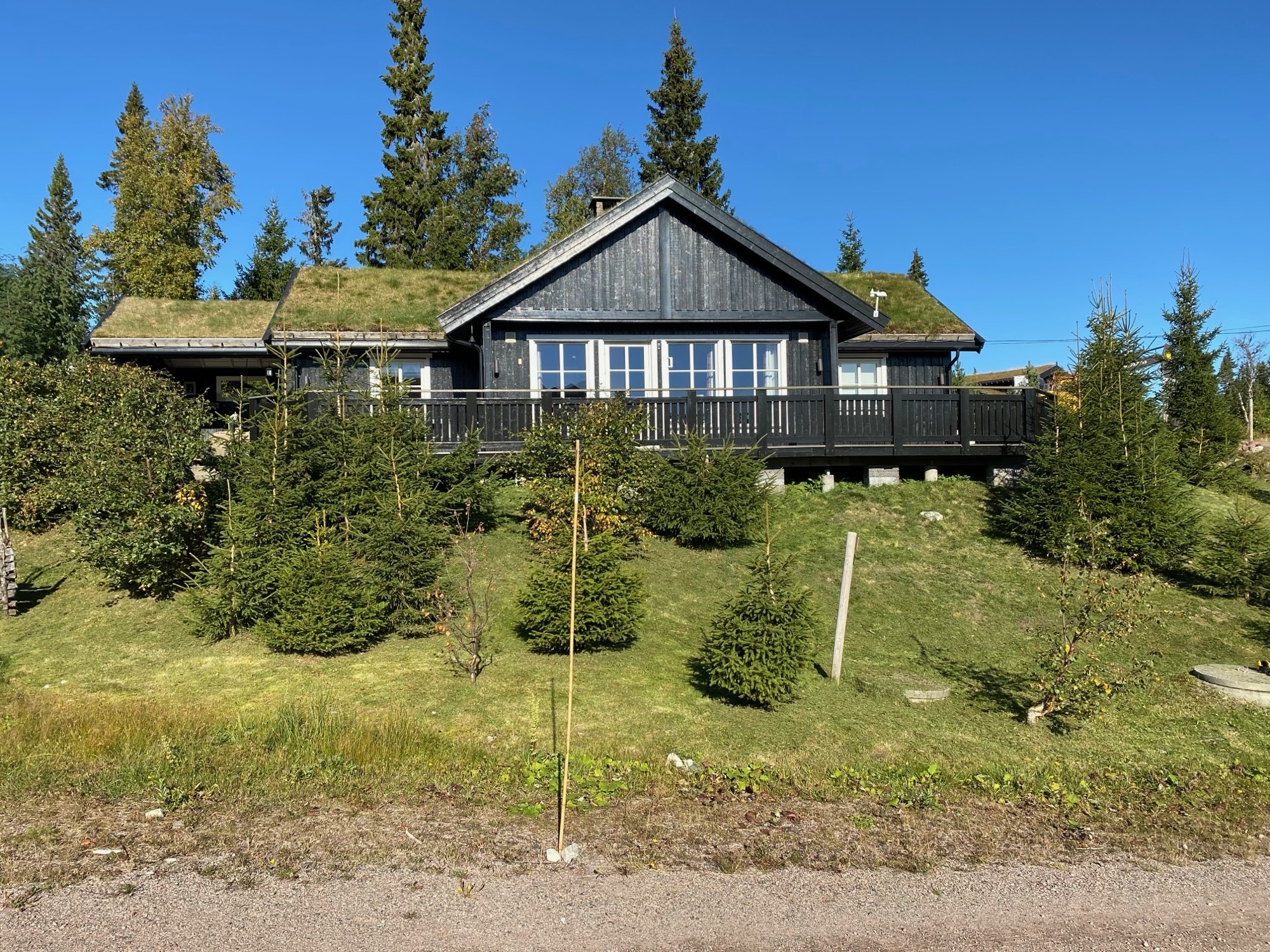 Exterior of the cabin with grass roof and front terrace.